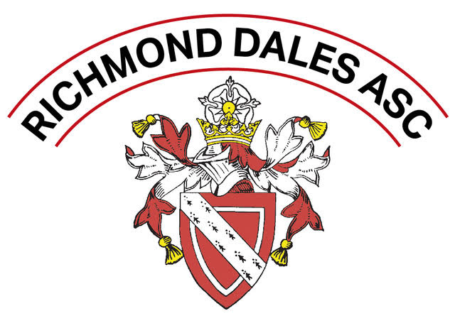 Richmond Dales Amateur Swimming Club